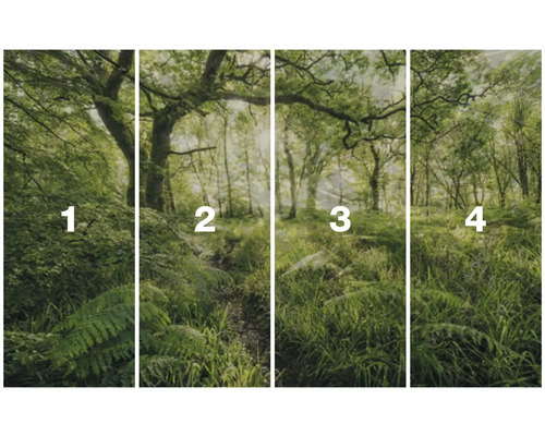 Papier peint photo en quatre parties avec motif de forêt