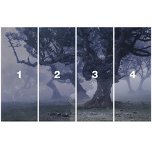 Image murale en quatre parties avec des arbres dans la forêt