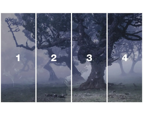 Image murale en quatre parties avec des arbres dans la forêt