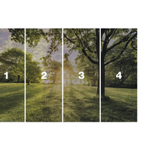 Papier peint intissé photo avec motif de forêt