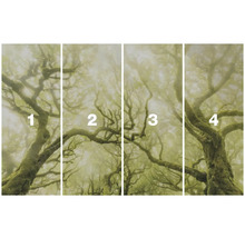 Papier peint photo en quatre parties avec un motif de forêt dans le brouillard