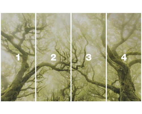 Papier peint photo en quatre parties avec un motif de forêt dans le brouillard