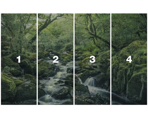 Vierteiliges Waldwandbild mit Flusslauf