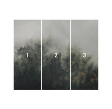 Motif de papier peint forêt en trois parties avec brouillard