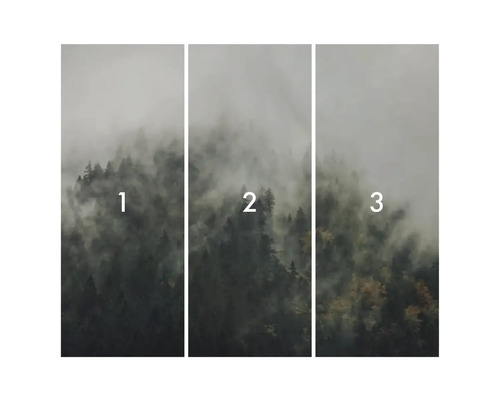 Motif de papier peint forêt en trois parties avec brouillard