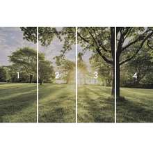 Papier peint photo en quatre parties avec paysage d'arbres dans un parc
