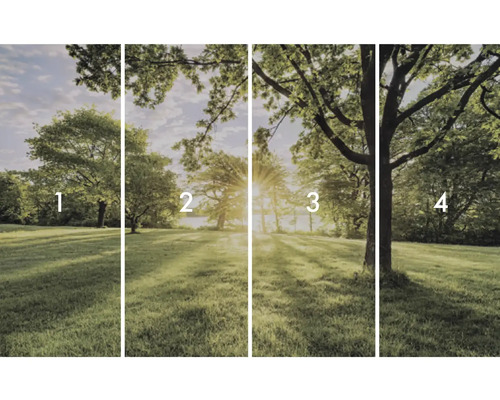 Papier peint photo en quatre parties avec paysage d'arbres dans un parc