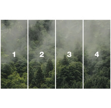 Papier peint photo en quatre parties avec motif de forêt et brouillard