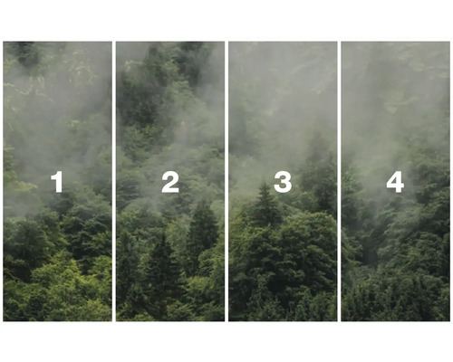Papier peint photo en quatre parties avec motif de forêt et brouillard