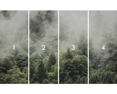 Papier peint photo en quatre parties avec motif de forêt et brouillard