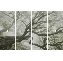 Motif photographique en quatre parties d'une forêt de brouillard