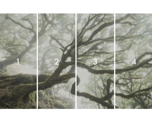 Motif photographique en quatre parties d'une forêt de brouillard