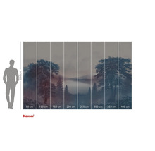 Papier peint photo avec paysage forestier et lac pour la décoration murale