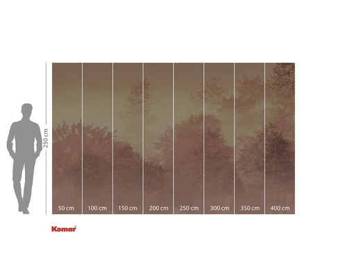 Fototapete mit Waldmotiv und Größenangaben