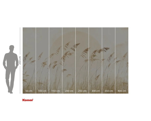 Komar Fototapete mit Schilfmotiv und Größenangaben