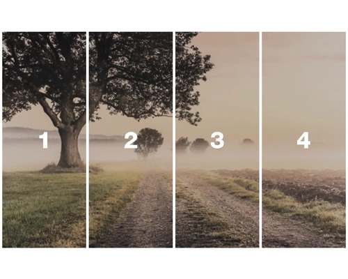 Mehrteiliges Bild einer Landschaft mit Bäumen und Nebel