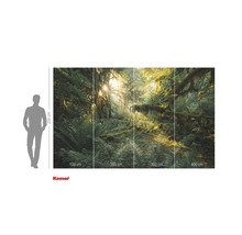 Fototapete mit Waldmotiv und Sonnenlicht