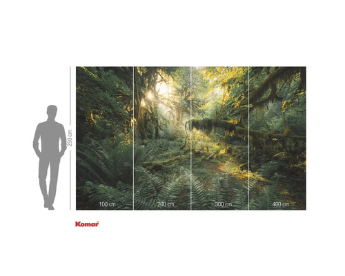 Fototapete mit Waldmotiv und Sonnenlicht