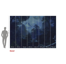 Papier peint photo Komar avec paysage forestier et indications de taille.