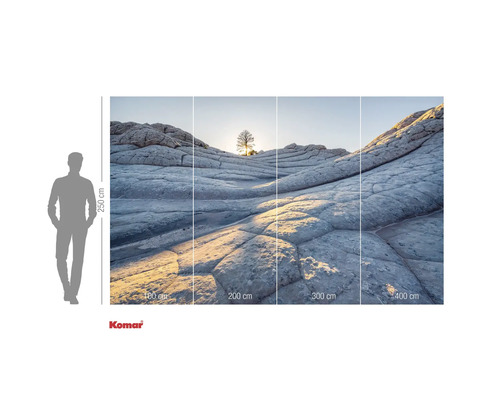 Fototapete mit Felsformationen und Baum