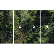 Fototapete mit Dschungelmotiven in vier Abschnitten