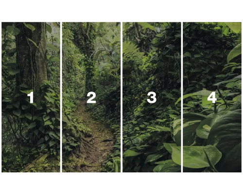 Fototapete mit Dschungelmotiven in vier Abschnitten