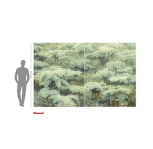 Fototapete mit Baumfarnmotiv und Größenangaben