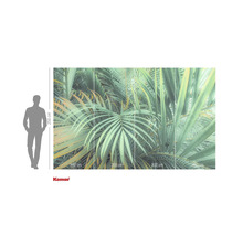 Papier peint photo Komar avec feuilles de palmier, 400 cm de large et 250 cm de haut