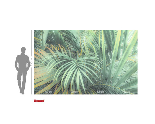 Papier peint photo Komar avec feuilles de palmier, 400 cm de large et 250 cm de haut