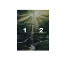 Papier peint photo forêt, en deux parties