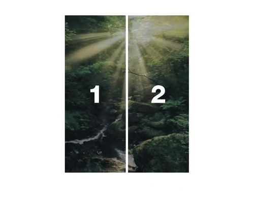 Papier peint photo forêt, en deux parties