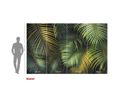 Papier peint photo avec un motif de feuilles de palmier