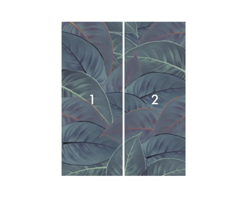 Papier peint photo avec motif de feuilles, composé de deux parties