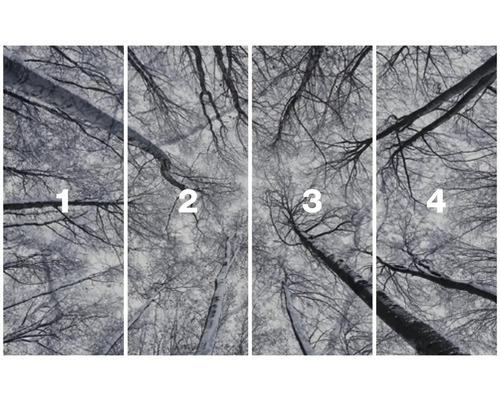 Papier peint photo en quatre parties avec des cimes d'arbres en hiver