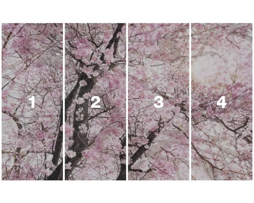 Vierteilige Fototapete mit Kirschblütenmotiv