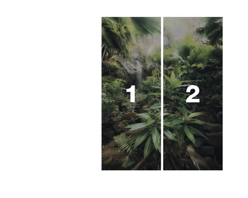 Wandbild mit Wasserfall und grünen Pflanzen