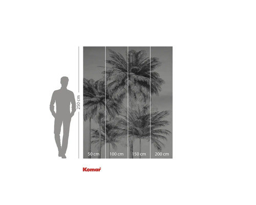 Papier peint photo avec motif de palmier et indications de dimensions