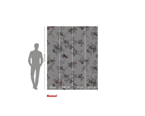 Papier peint photo Komar avec motif de fleurs et d'oiseaux dans les tons gris
