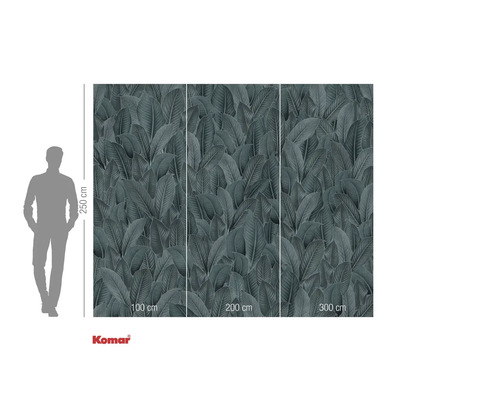 Papier peint photo avec motif de feuilles et indications de dimensions