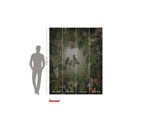 Papier peint photo Komar avec motif d'oiseaux et de plantes, les dimensions sont indiquées