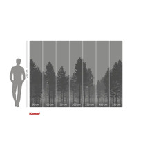 Papier peint photo avec motif de forêt et indications de taille.