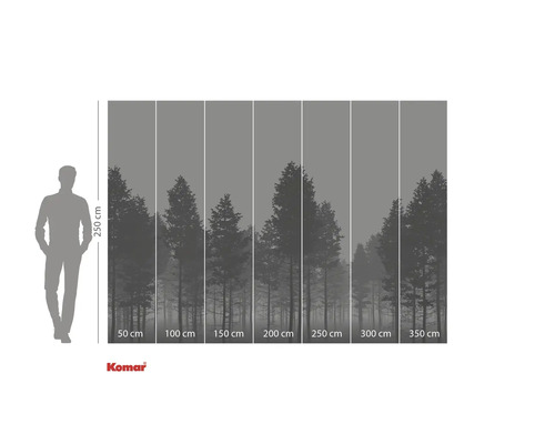 Papier peint photo avec motif de forêt et indications de taille.