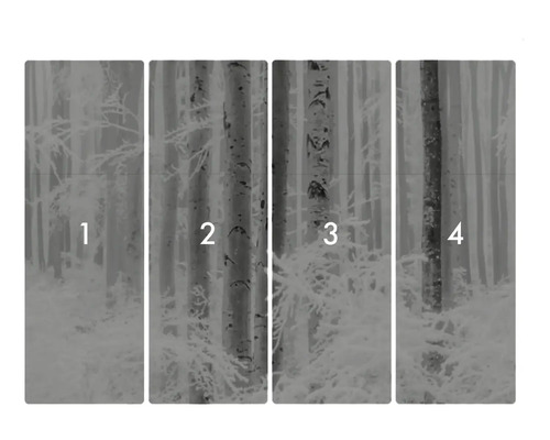 Papier peint forêt en quatre parties avec motifs d'arbres