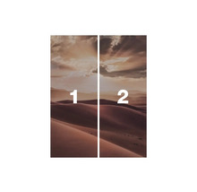 Image murale avec motif de désert, composée de deux parties