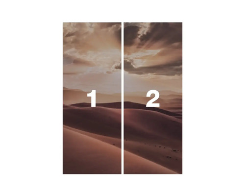 Image murale avec motif de désert, composée de deux parties