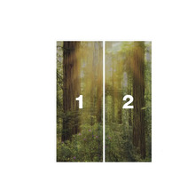 Papier peint forêt, en deux parties