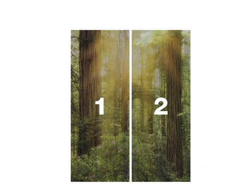 Papier peint forêt, en deux parties