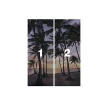 Motif de palmier en deux parties pour portes