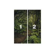 Waldweg Fototapete mit Nummerierung eins und zwei