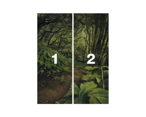 Waldweg Fototapete mit Nummerierung eins und zwei